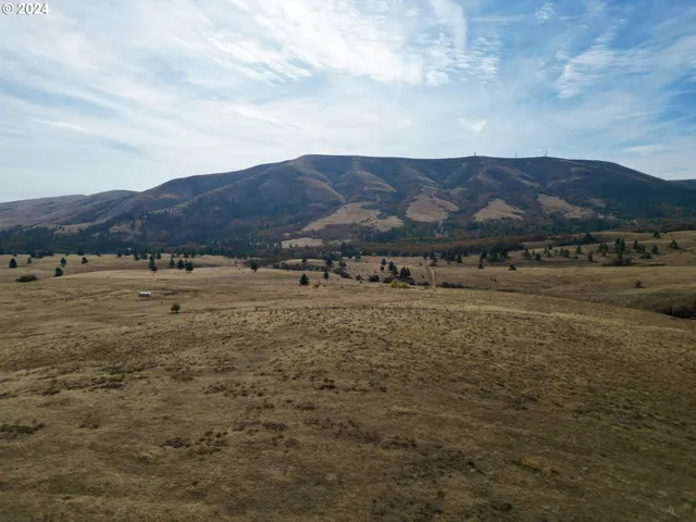 a view of a lake with mountains in the background