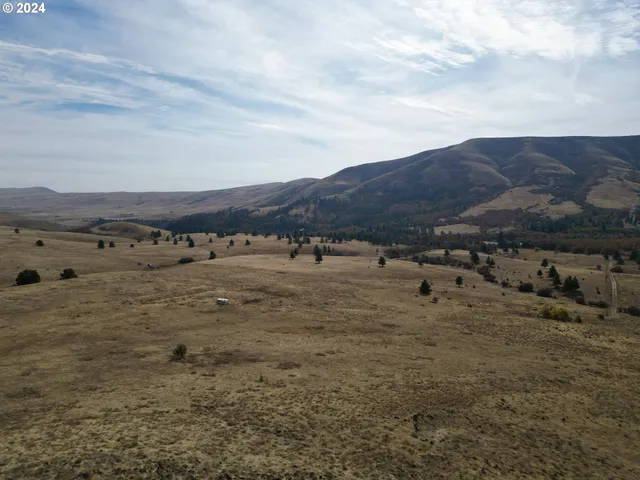 a view of a town with mountains in the background