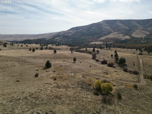 a view of a yard of a house