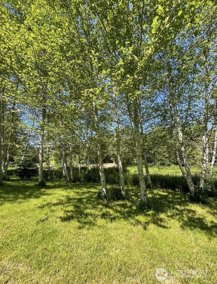 570 Elk Prairie Road Raymond, WA 98577 - Photo 37 of 39