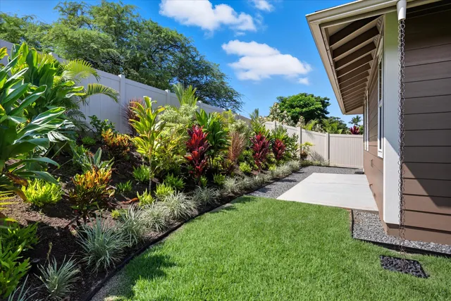 a view of a yard with plants