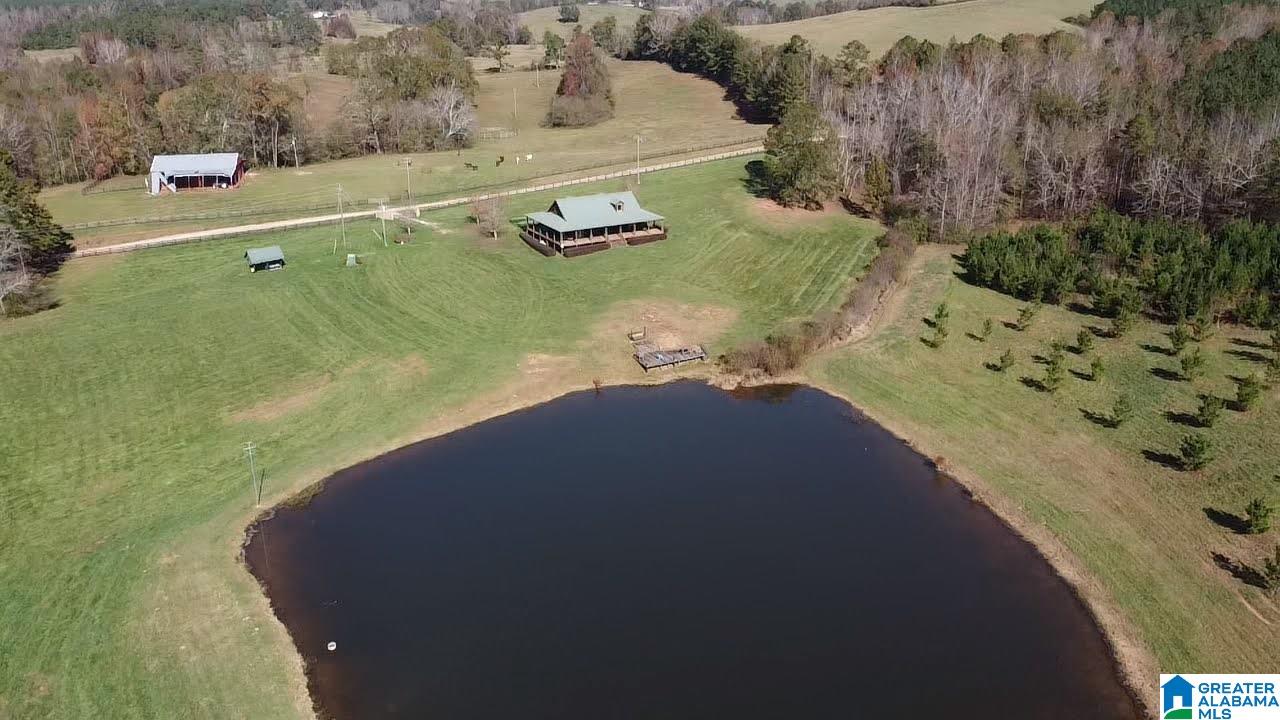 334 Isbell Road Delta, AL 36258 - Photo 23 of 37