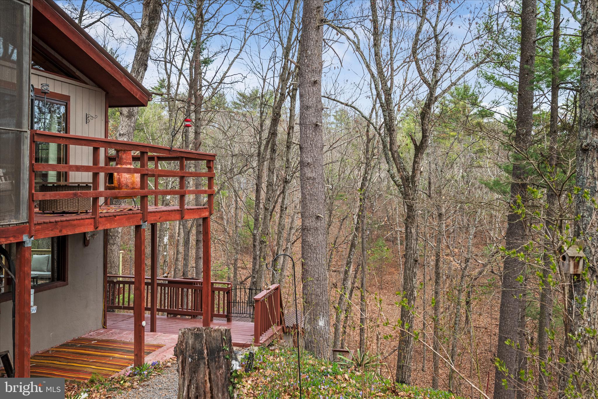 116 Palmer Road Basye, VA 22810 - Photo 27 of 30 Nestled in the woods