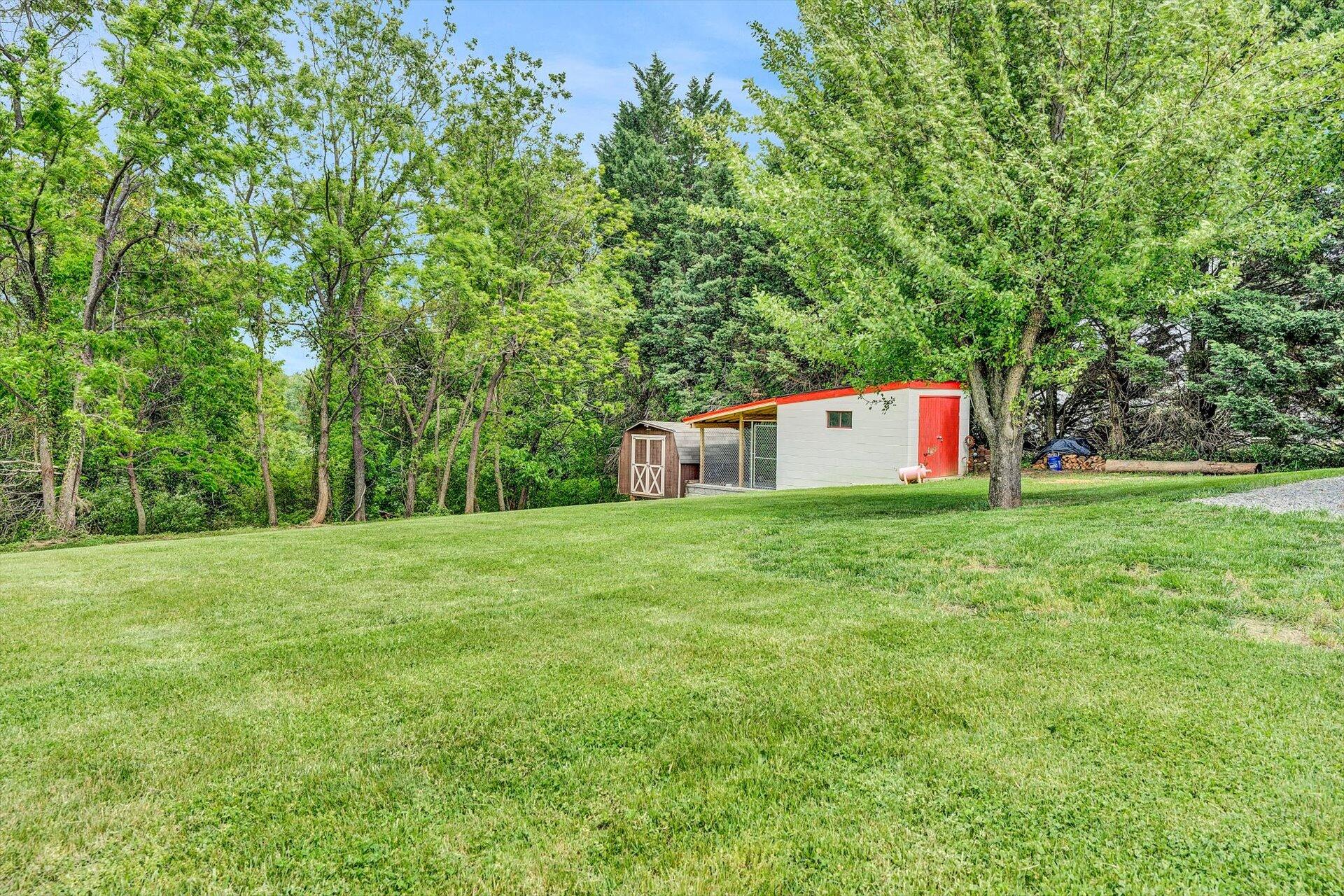 6203 Roberta Road Roanoke, VA 24019 - Photo 27 of 28 a backyard of a house with lots of green space