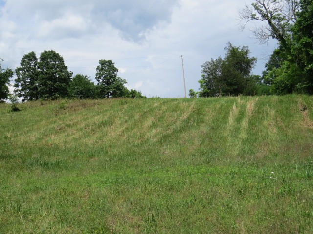 200 Hardy Road Pulaski, TN 38478 - Photo 5 of 20