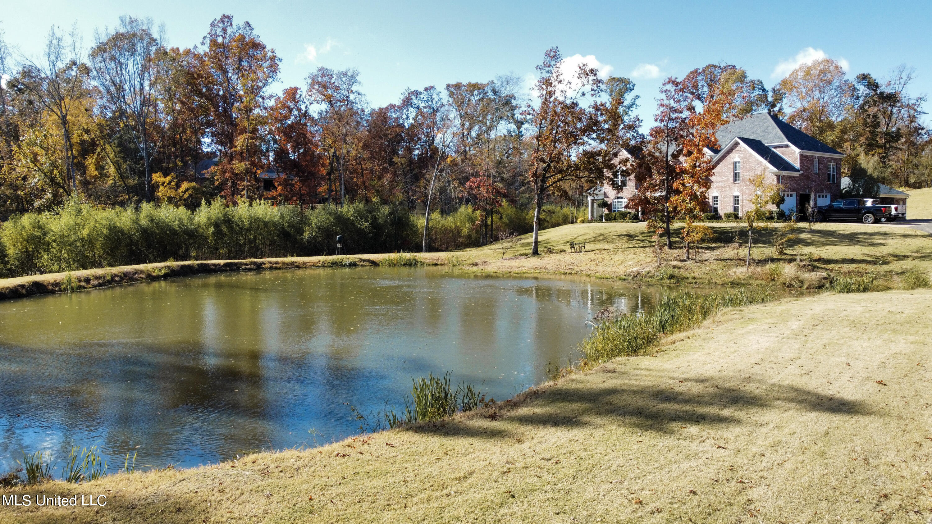 2377 Ross Road Olive Branch, MS 38654 - Photo 54 of 64 2377 Ross Rd