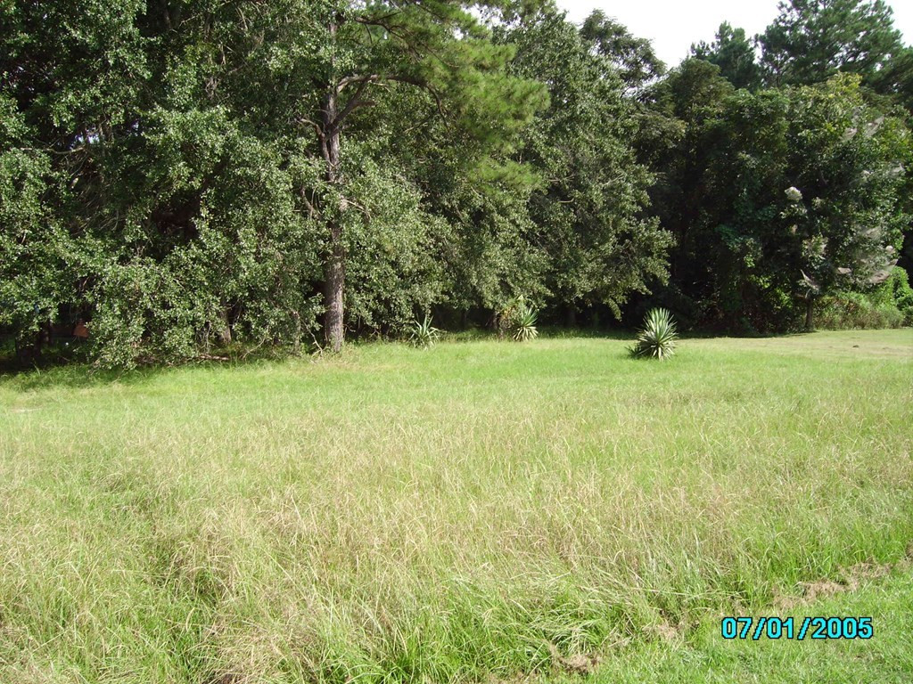 0 St Matthews Road St. Matthews, SC 29135 - Photo 7 of 12 Photo 7