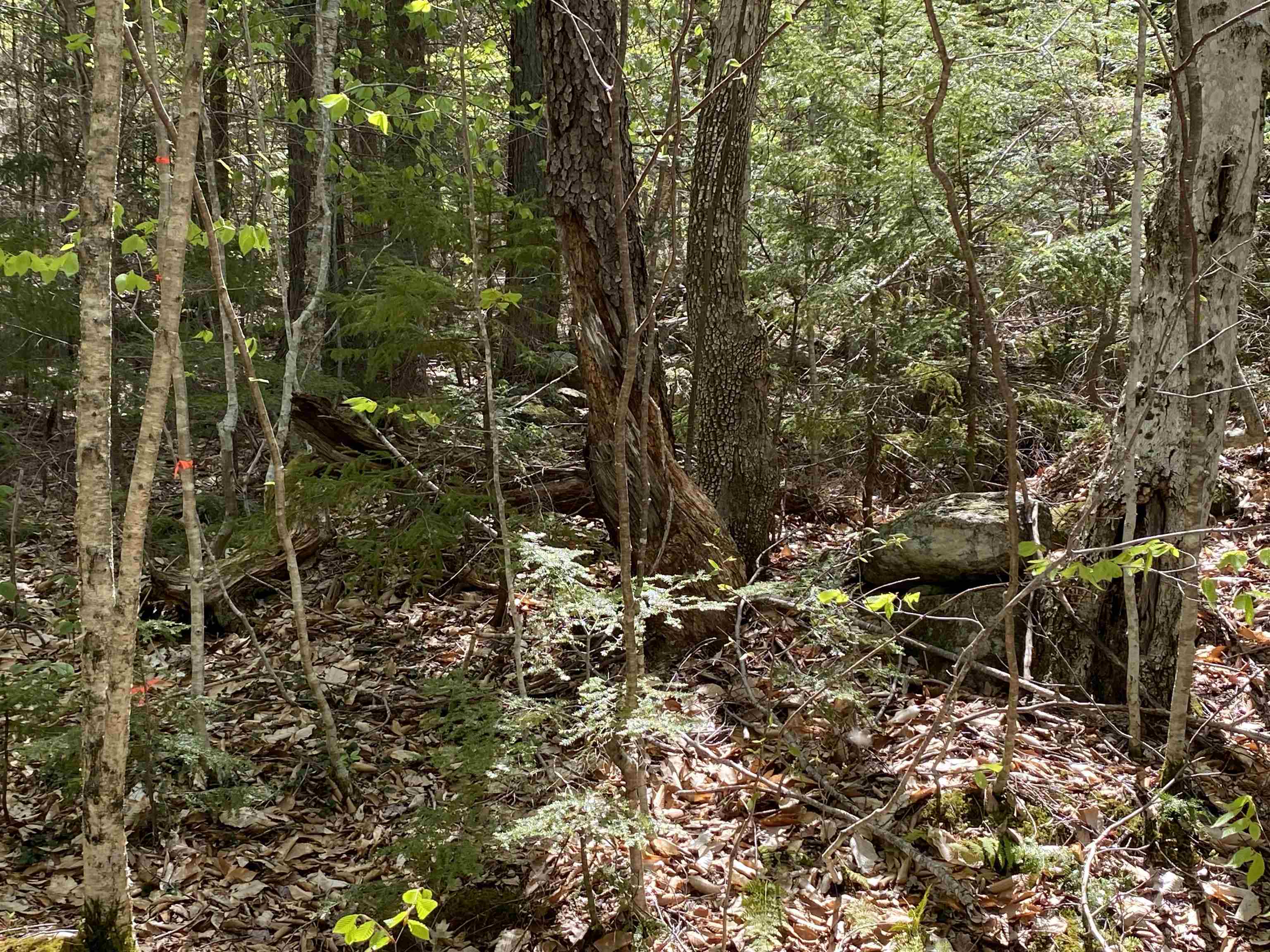 001 Hunt Road Plymouth, NH 03264 - Photo 1 of 7