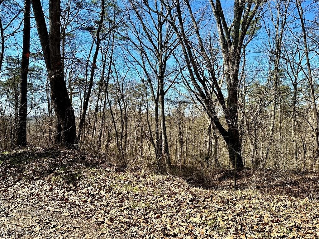 0 Fisher Ridge Road Fleming, OH 45729 - Photo 4 of 7 View of nature with a wooded view