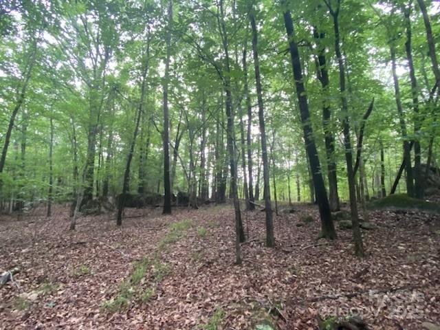 5410 A R Gordon Road Waxhaw, NC 28173 - Photo 29 of 31 a view of outdoor space with lots of trees