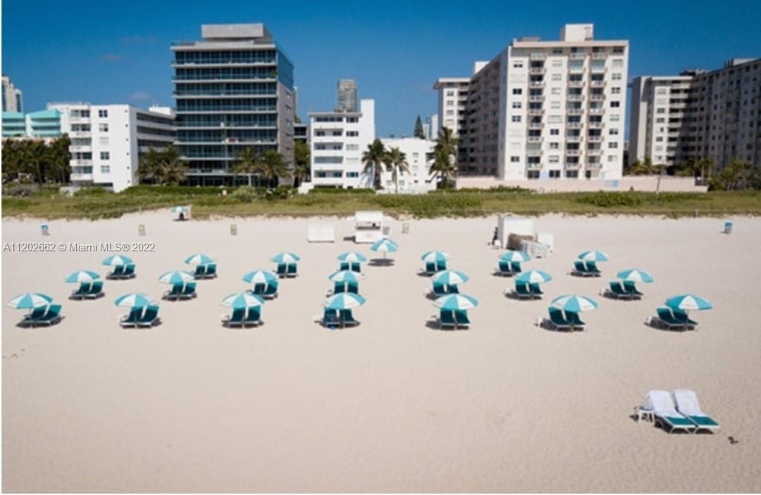 335 Ocean Drive, Unit 237 Miami Beach, FL 33139 - Photo 8 of 16 a vase of flowers sitting on a table