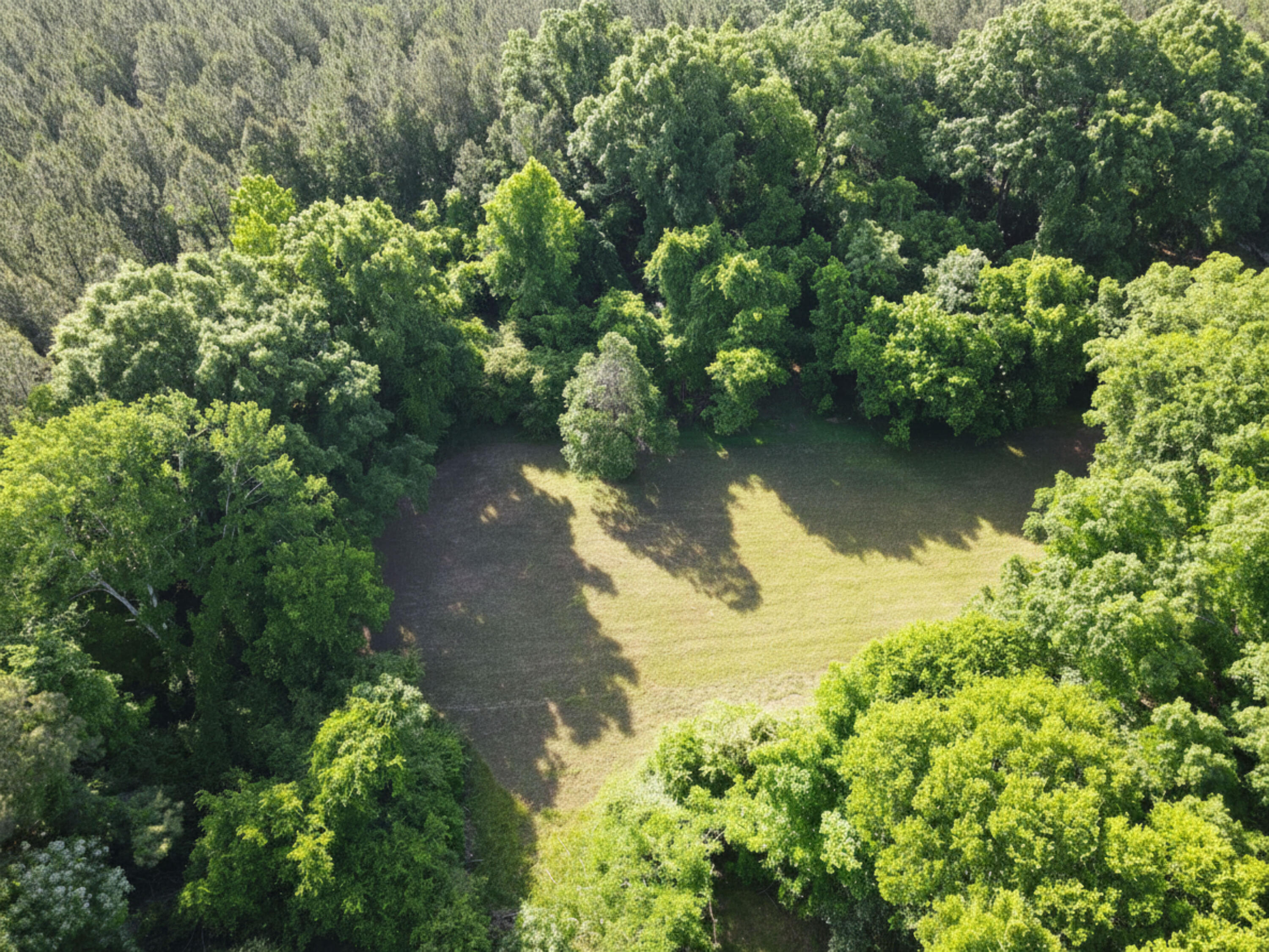 1830 Jack Ray Road Norwood, GA 30821 - Photo 75 of 75 drone2jpeg