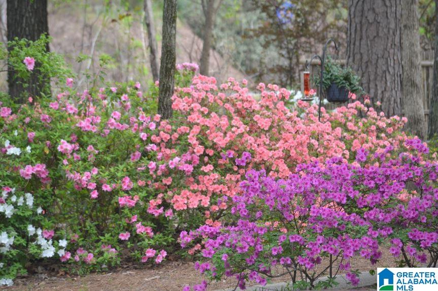 6034 Vale Hollow Road Helena, AL 35080 - Photo 45 of 48 Gallery Image 45