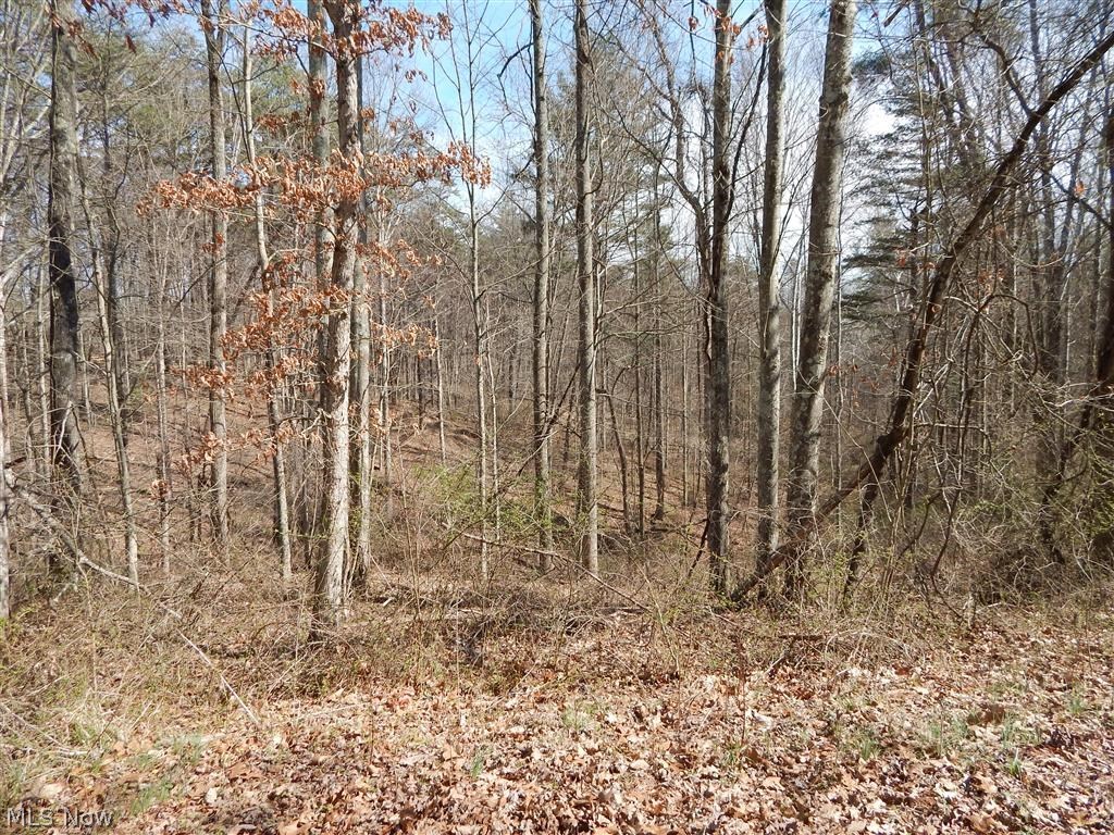 Lot 4 Victory Ridge Road Harrisville, WV 26362 - Photo 7 of 7