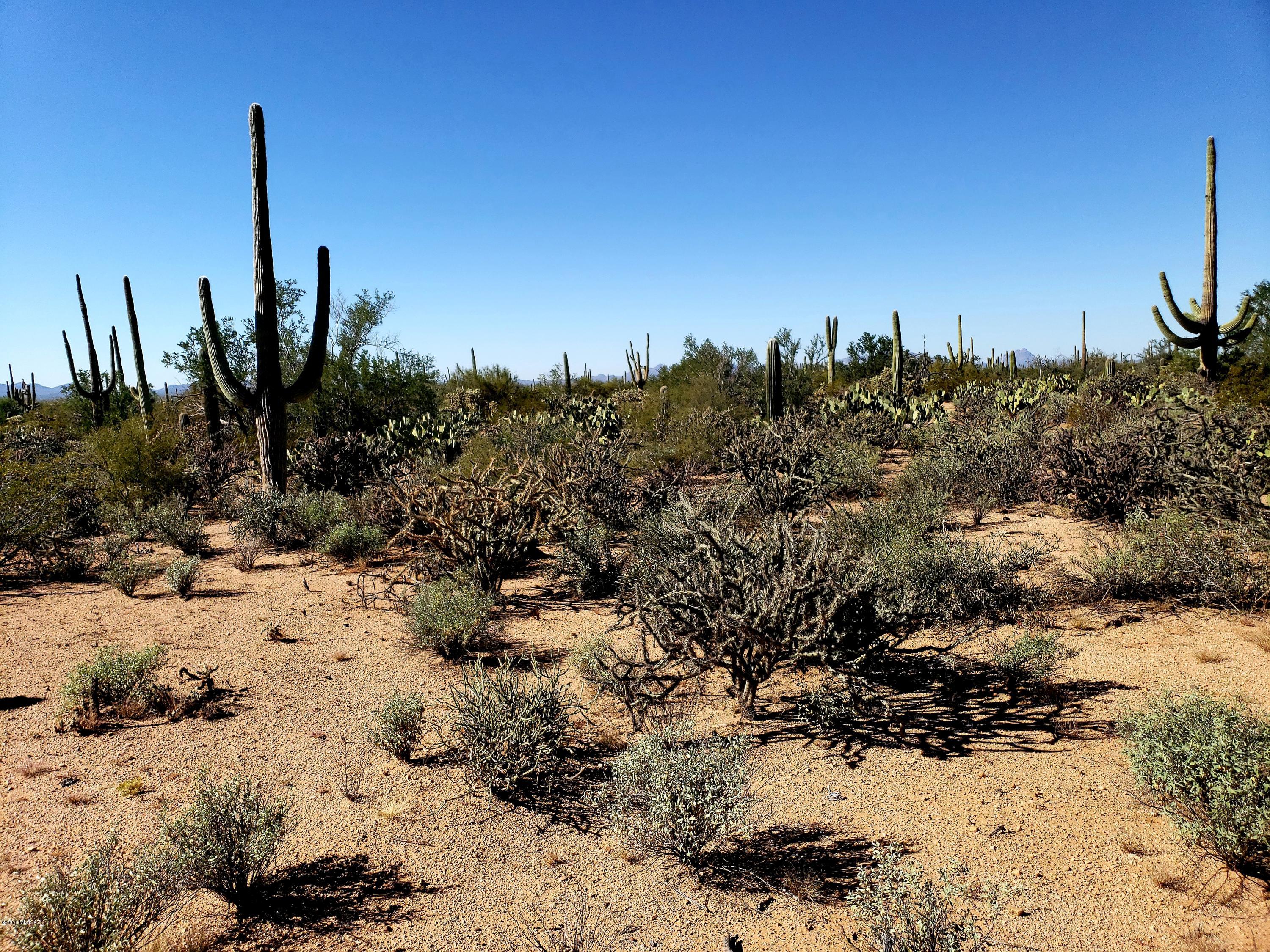 12200-blk West Fort Lowell Road Tucson, AZ 85743 - Photo 12 of 14