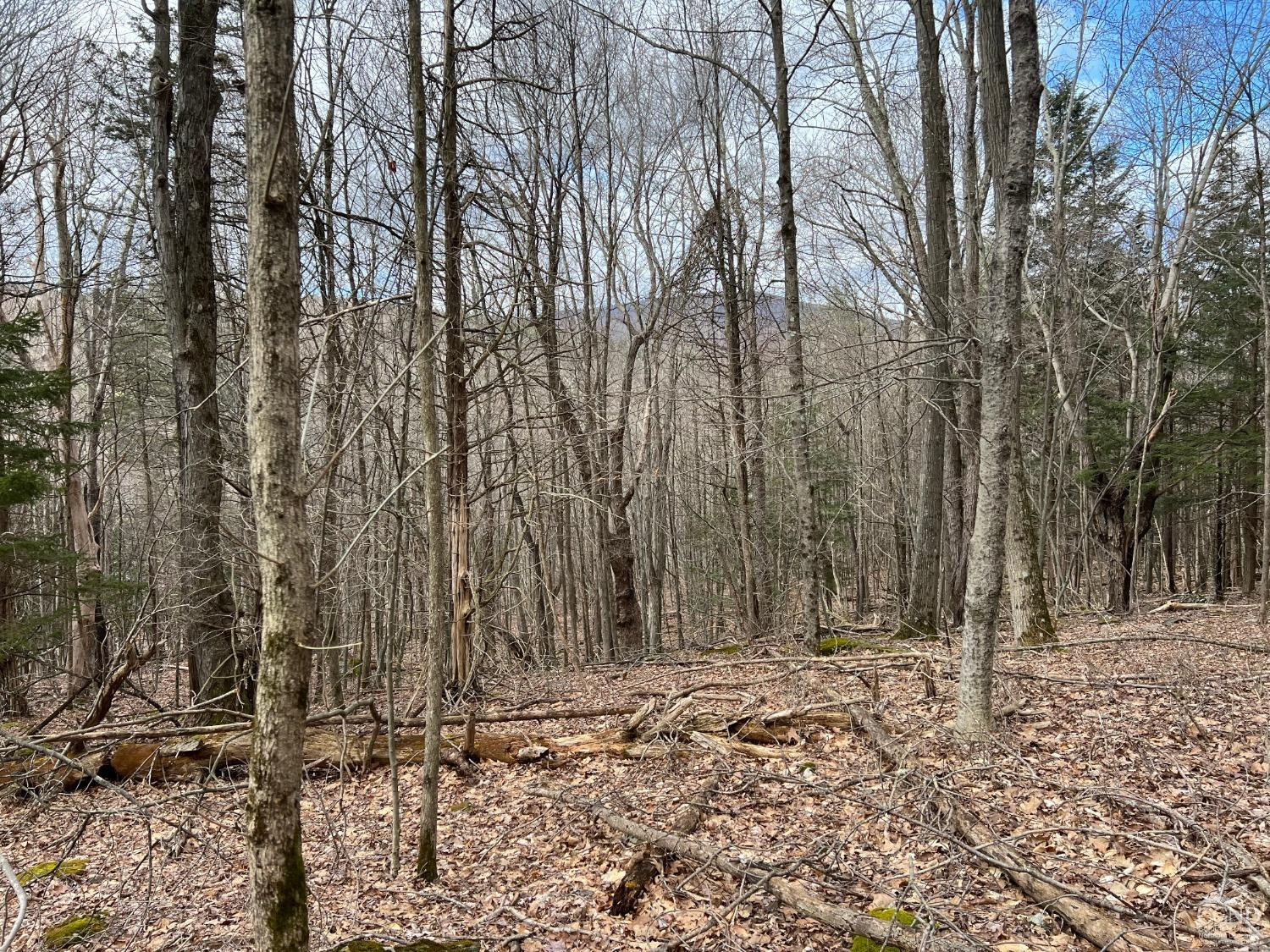 0 Route 23a Road Prattsville, NY 12468 - Photo 10 of 18 Photo 9