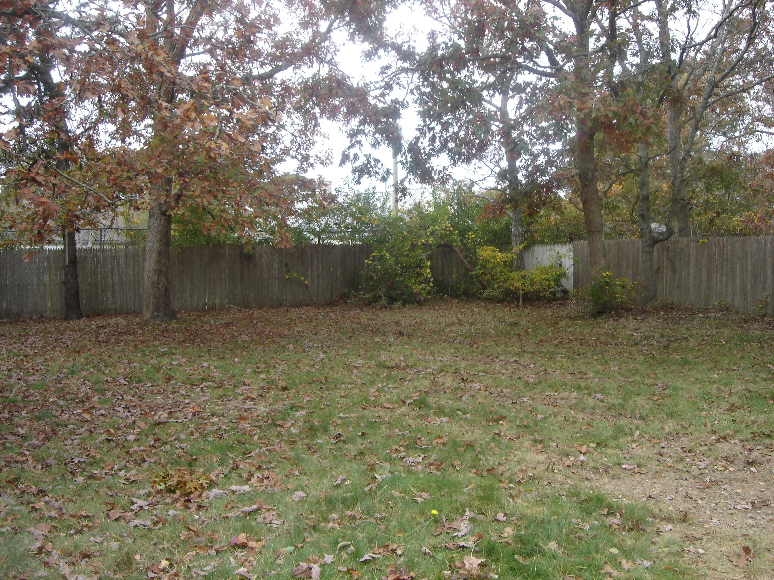 75 Quaker Road Hyannis, MA 02601 - Photo 26 of 28 a view of backyard and trees