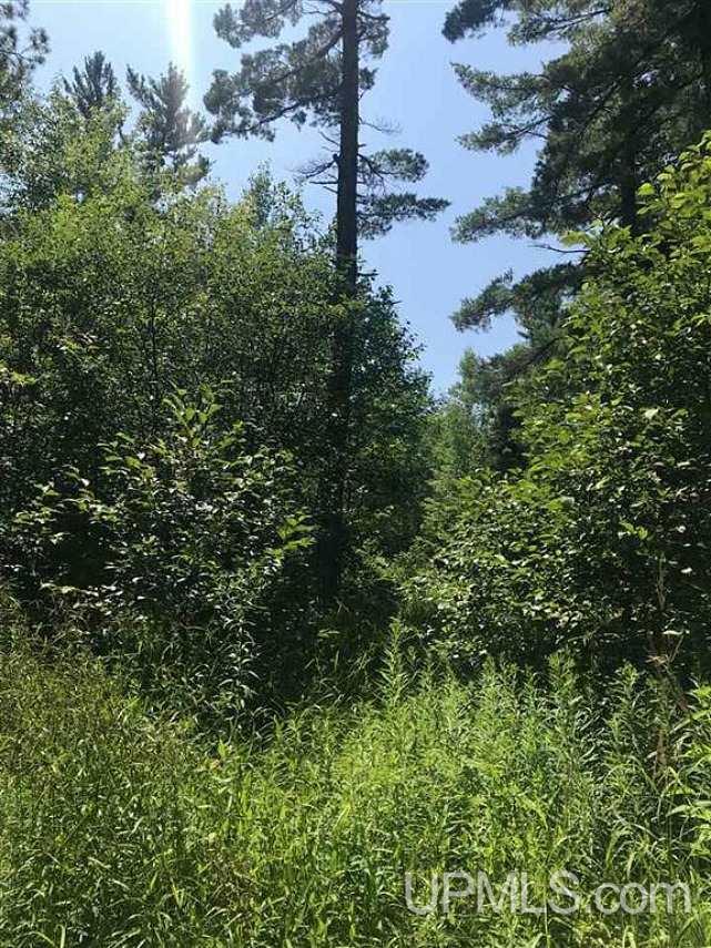 Tbd Off 850 Road Ontonagon, MI 49953 - Photo 3 of 3