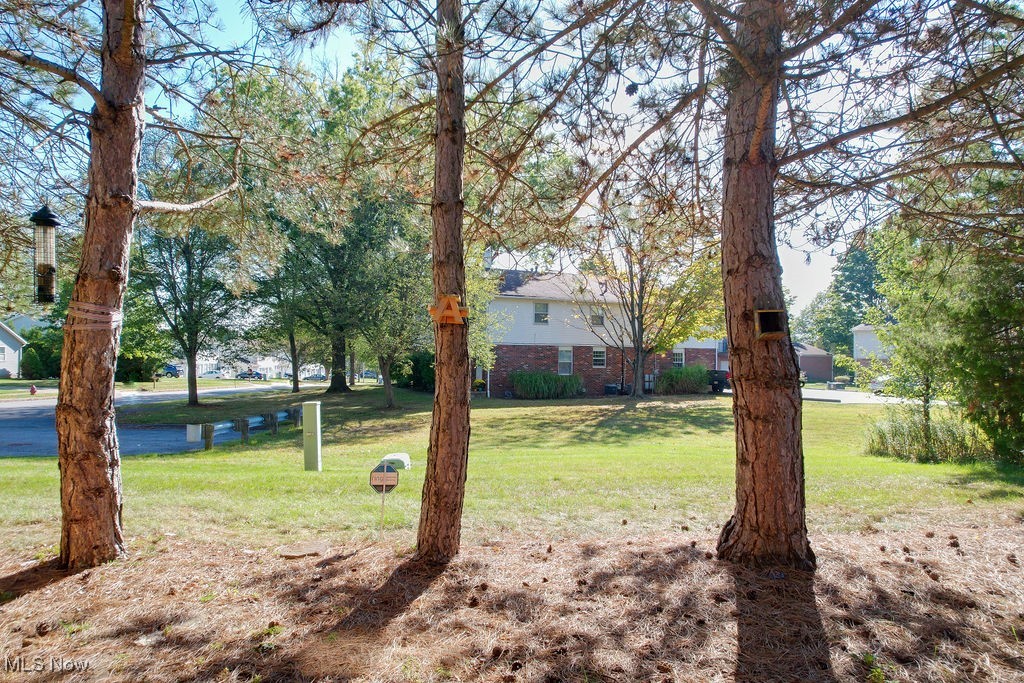 1426 Loop Road, Unit 1426 Kent, OH 44240 - Photo 34 of 40 View of common area yard space.