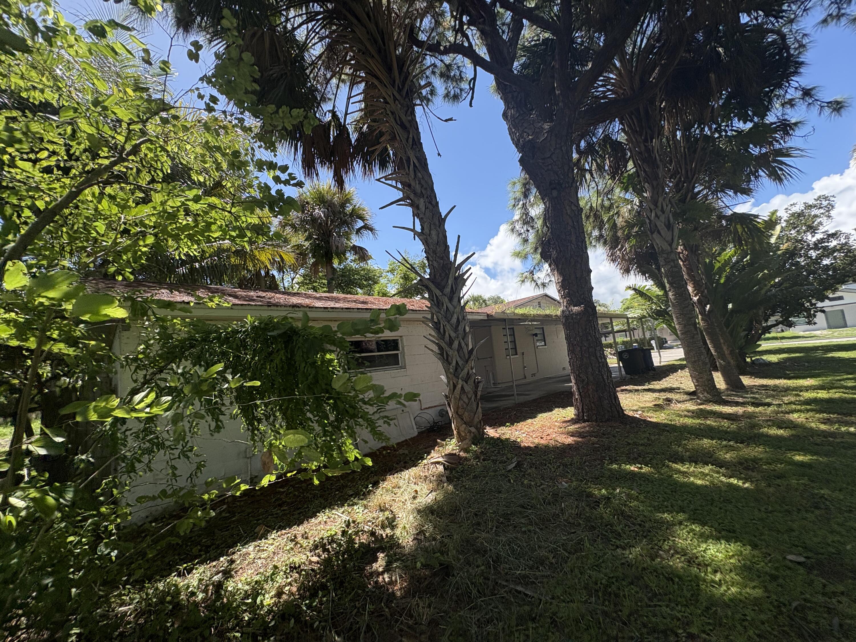 1010 Mayflower Road Fort Pierce, FL 34950 - Photo 21 of 27 a view of a tree in a yard