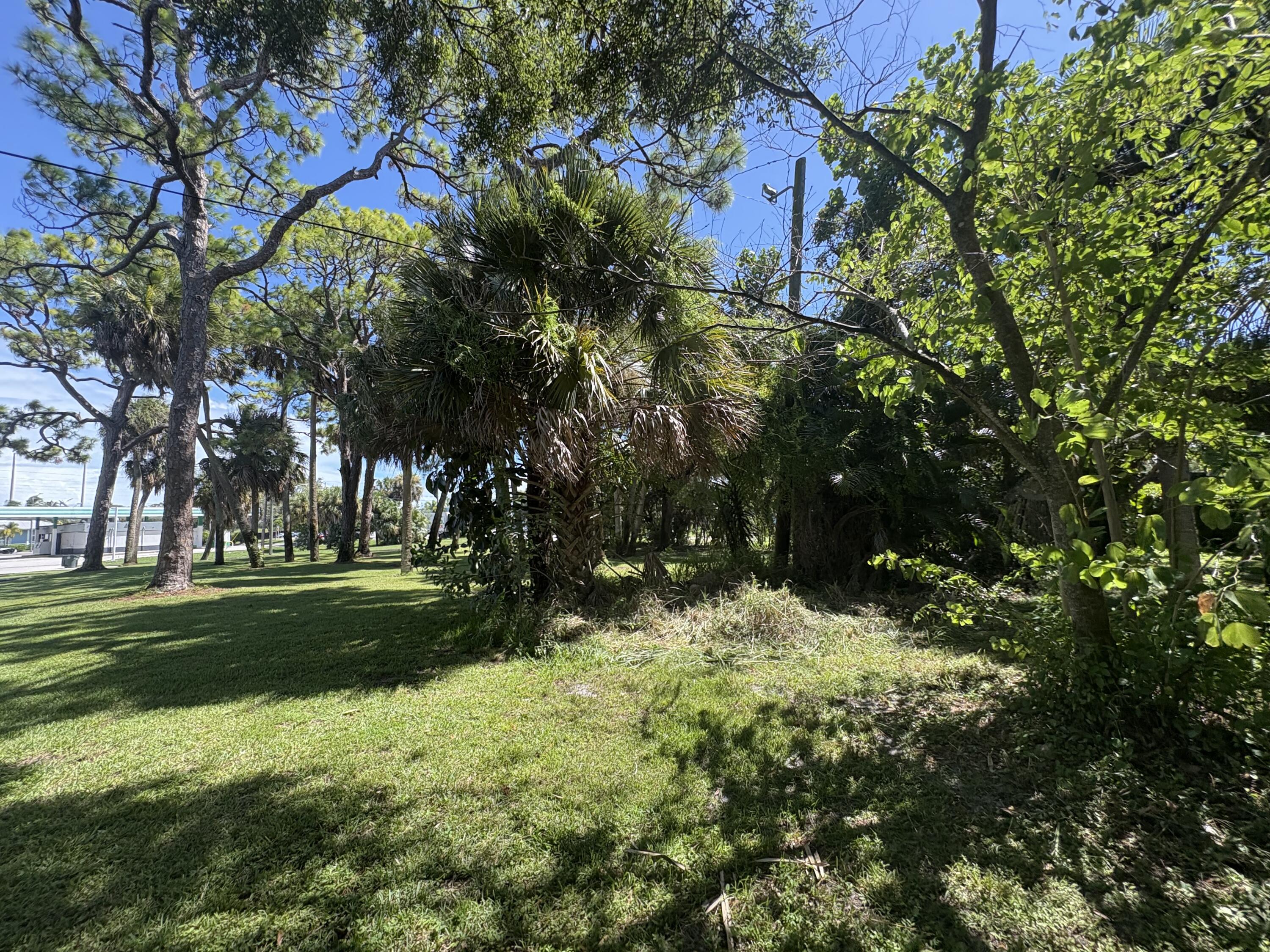 1010 Mayflower Road Fort Pierce, FL 34950 - Photo 24 of 27 a backyard of a house with lots of green space