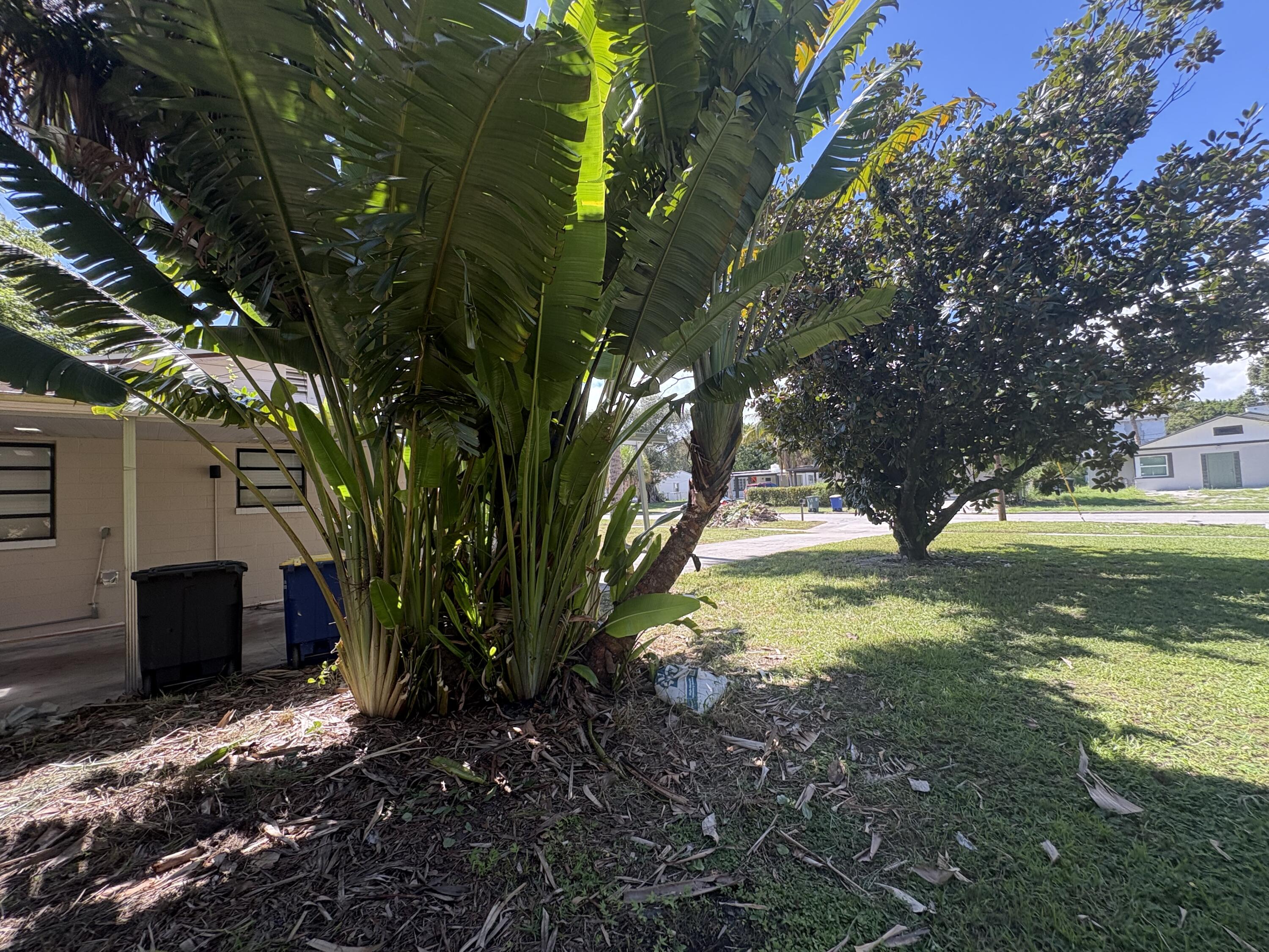 1010 Mayflower Road Fort Pierce, FL 34950 - Photo 26 of 27 a view of a yard with plants and large trees