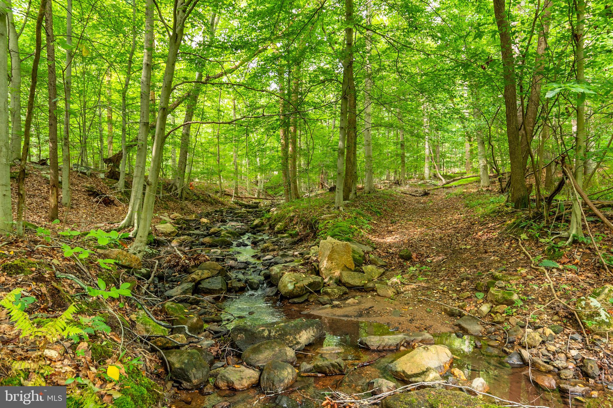 2220 Thurston Road Frederick, MD 21704 - Photo 102 of 139 Foothills Of Sugarloaf Mountain