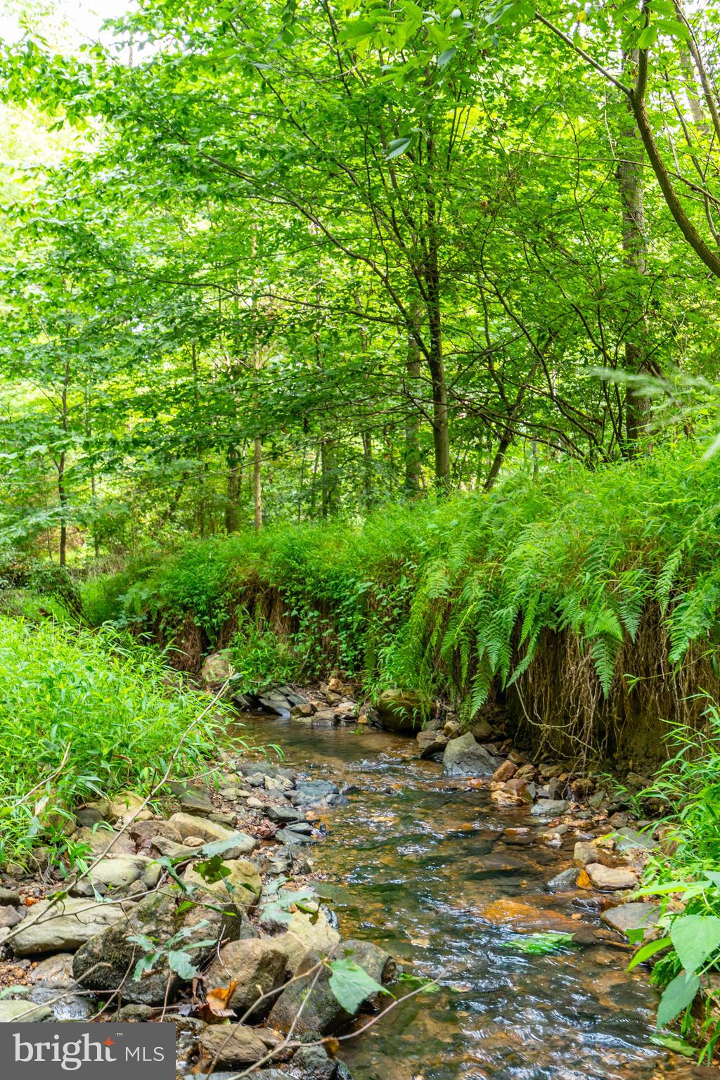 2220 Thurston Road Frederick, MD 21704 - Photo 103 of 139 Foothills Of Sugarloaf Mountain