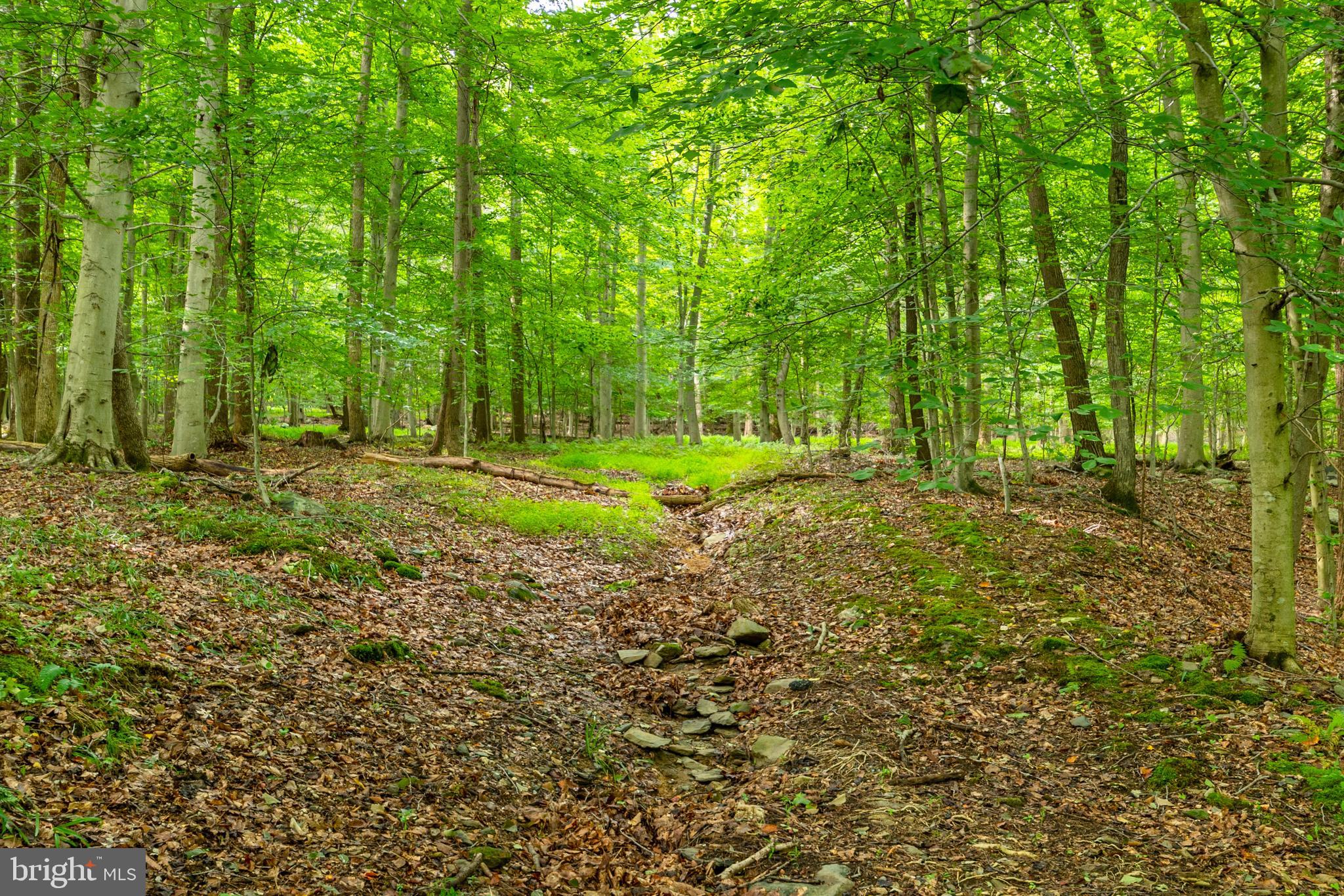2220 Thurston Road Frederick, MD 21704 - Photo 104 of 139 Foothills Of Sugarloaf Mountain