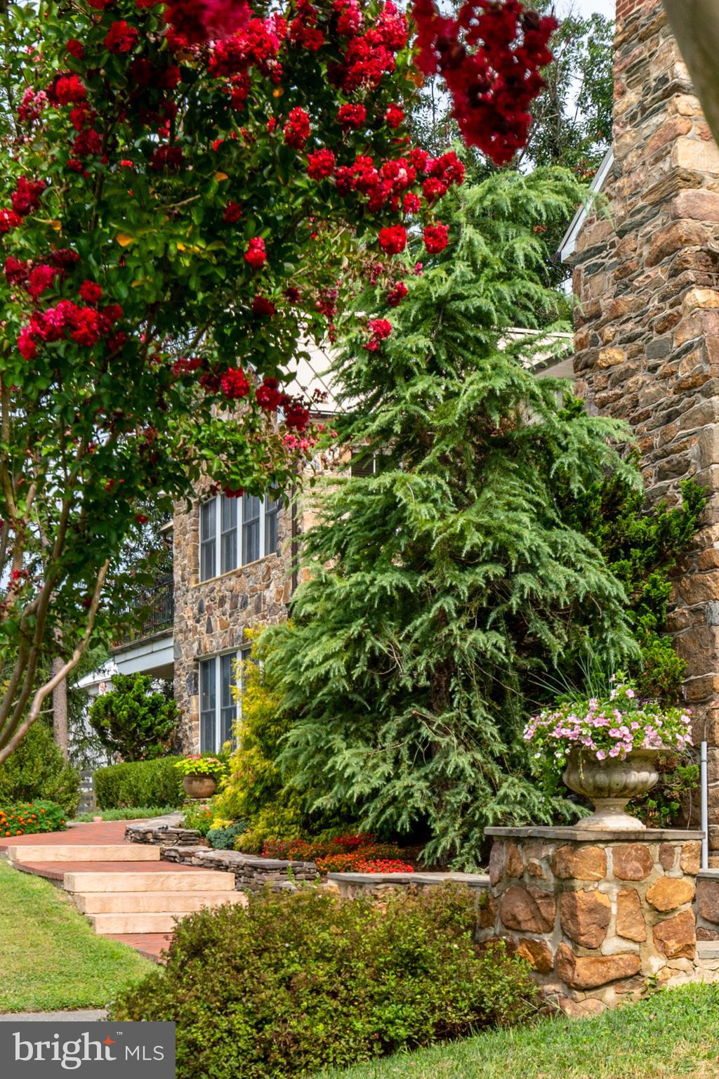 2220 Thurston Road Frederick, MD 21704 - Photo 105 of 139 Beautiful Crape Myrtle Trees On The Estate