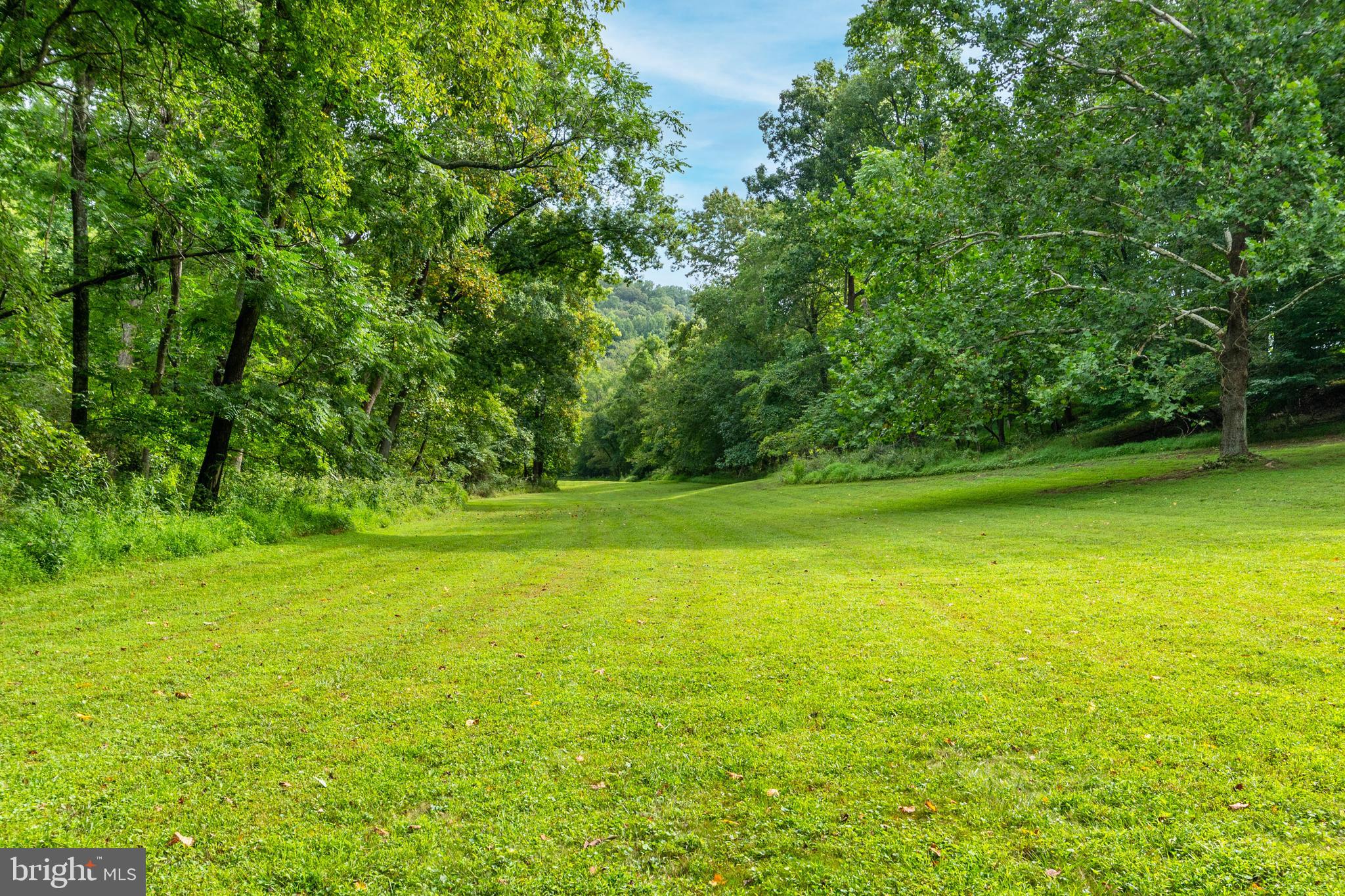 2220 Thurston Road Frederick, MD 21704 - Photo 106 of 139 Pasture Land