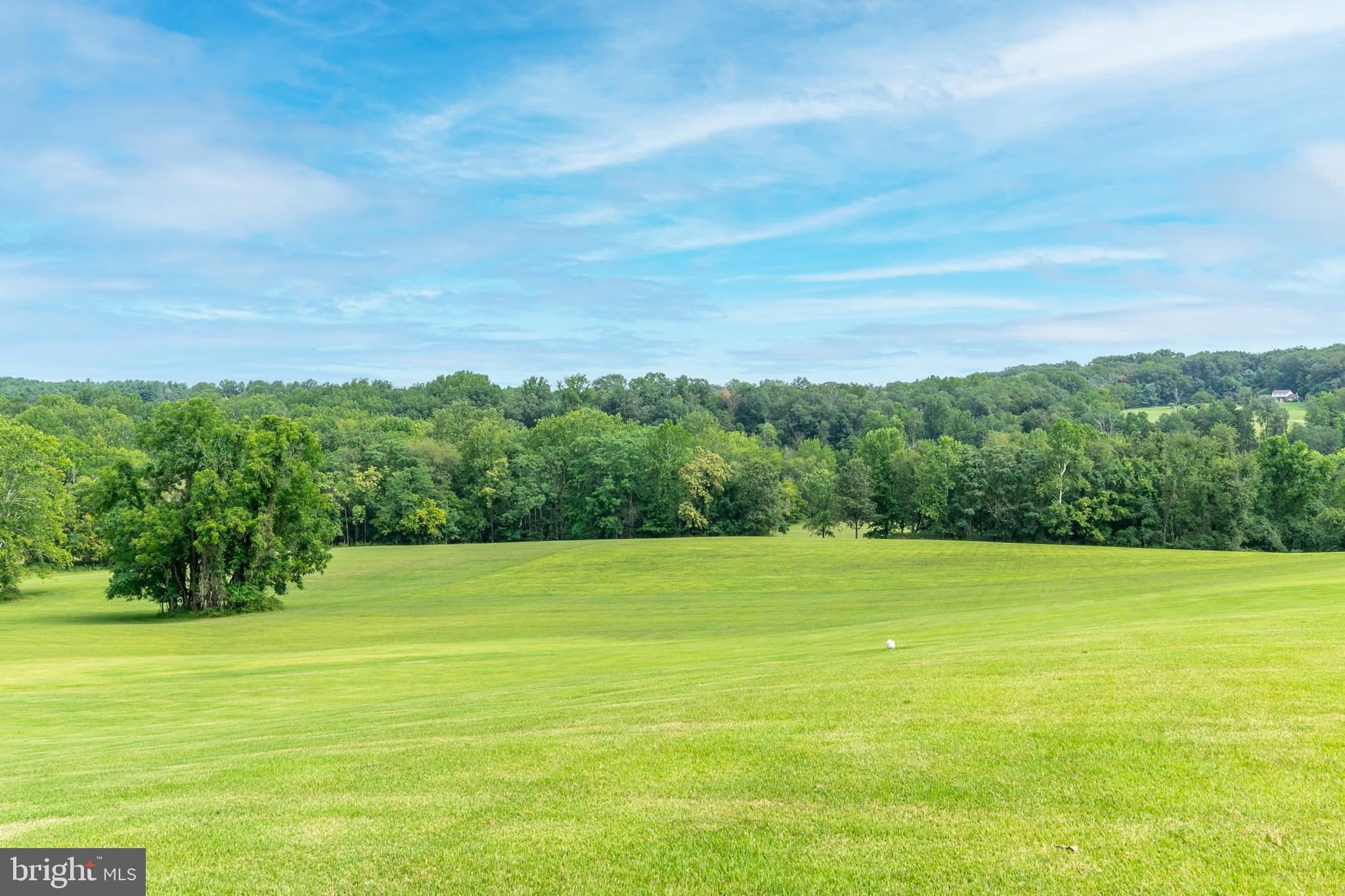 2220 Thurston Road Frederick, MD 21704 - Photo 107 of 139 Pasture Land