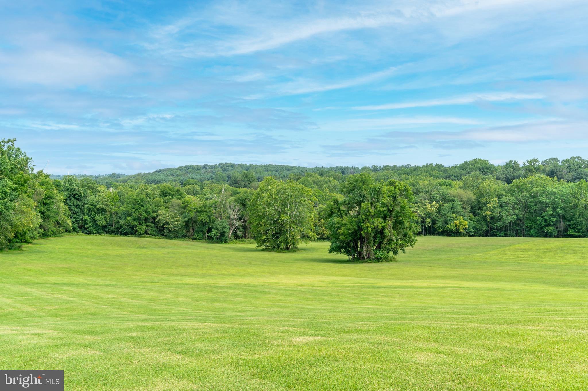 2220 Thurston Road Frederick, MD 21704 - Photo 108 of 139 Pasture Land