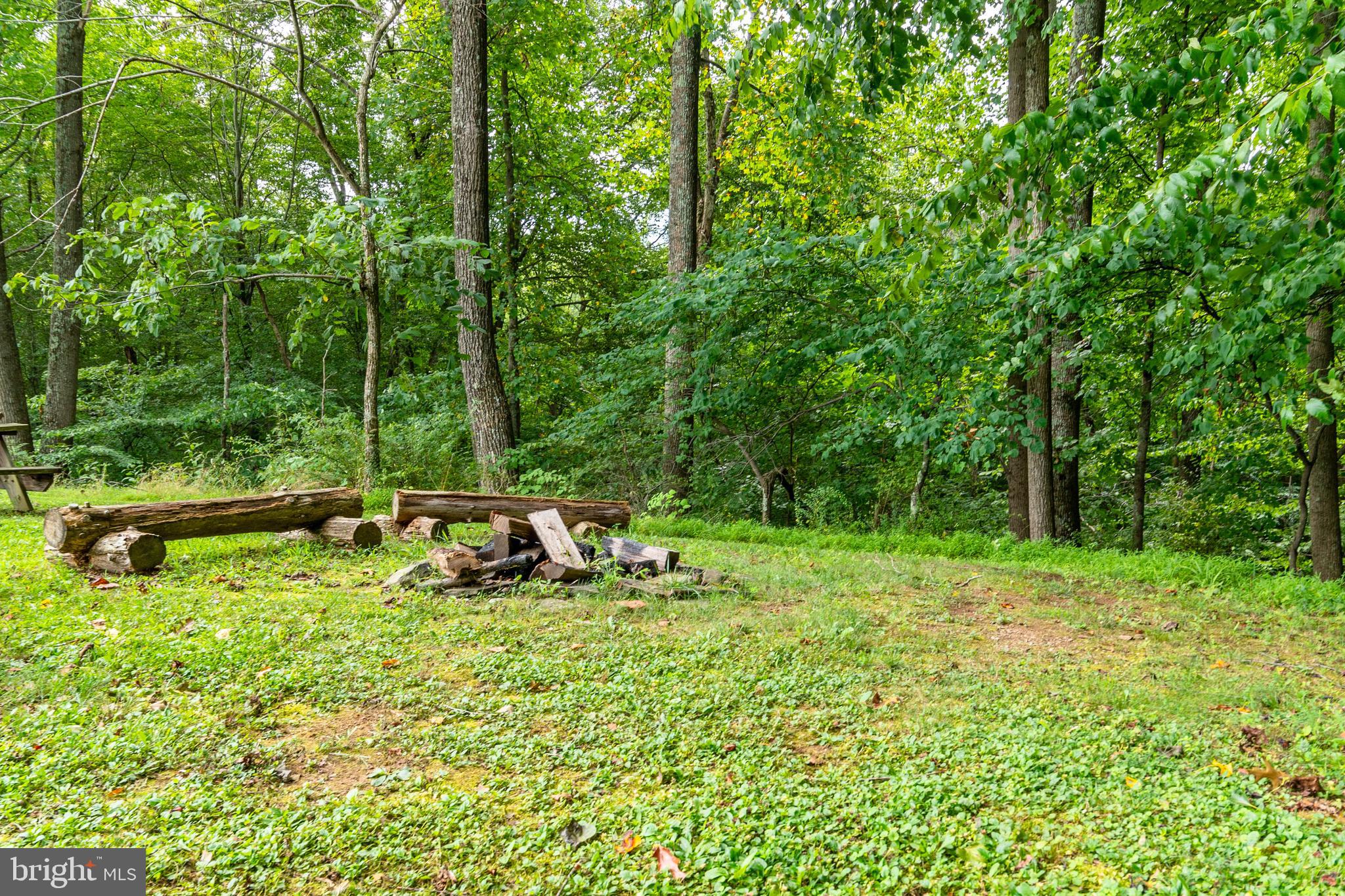 2220 Thurston Road Frederick, MD 21704 - Photo 110 of 139 Fire Pit