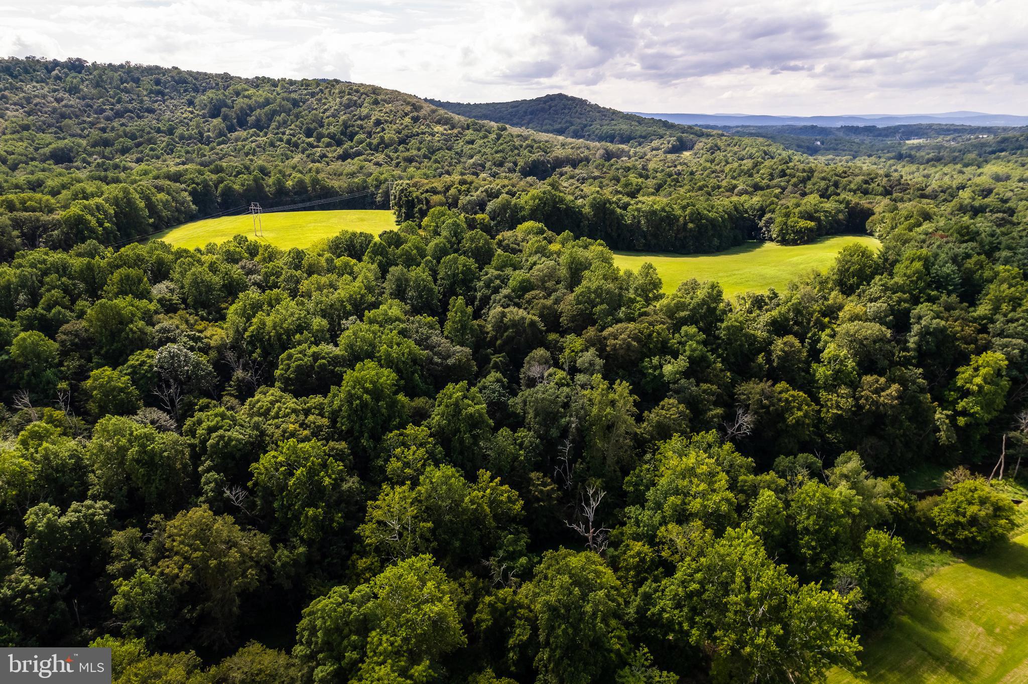2220 Thurston Road Frederick, MD 21704 - Photo 117 of 139 Ariel View Of Property