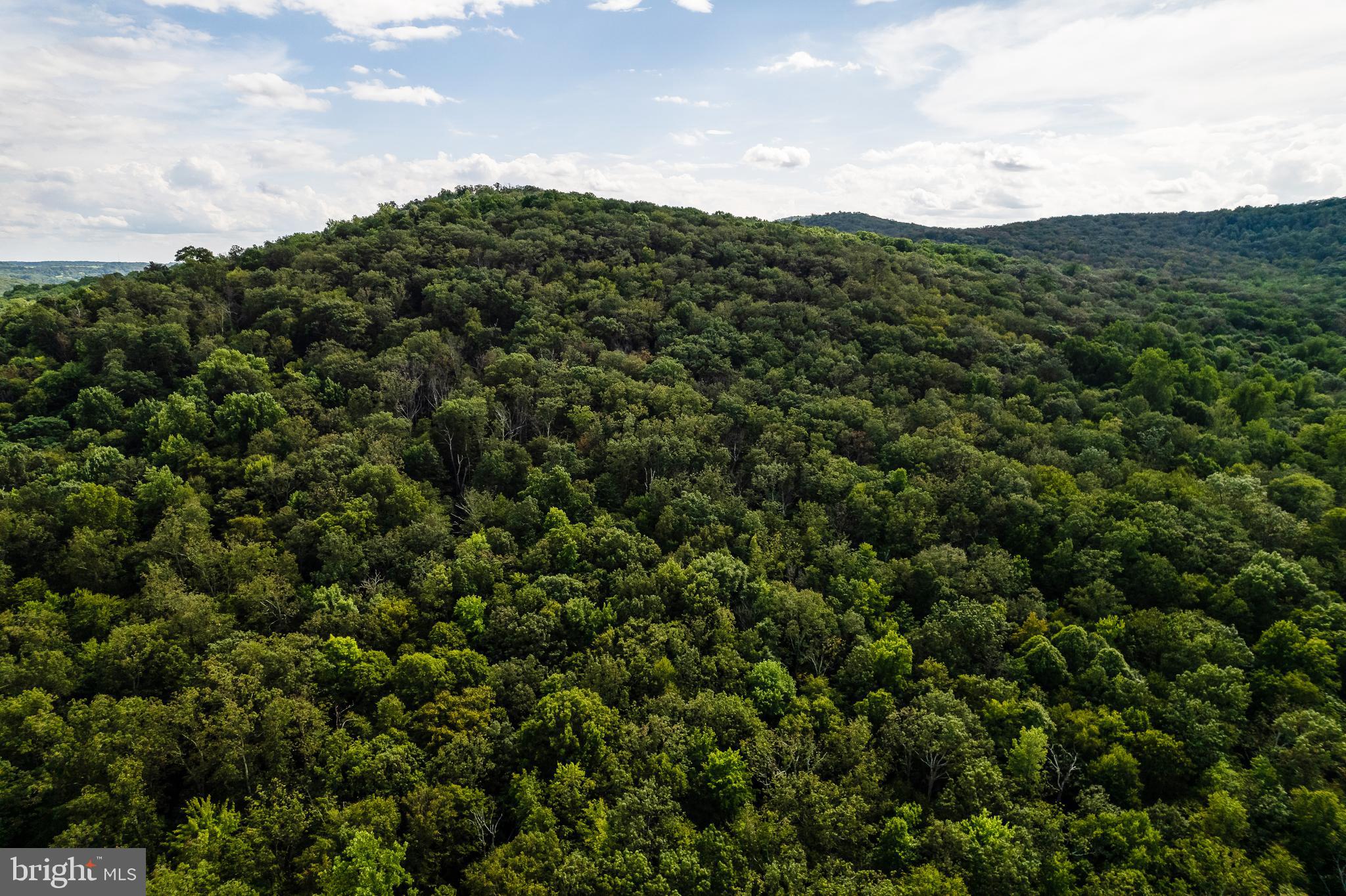 2220 Thurston Road Frederick, MD 21704 - Photo 136 of 139 Ariel View Of Property