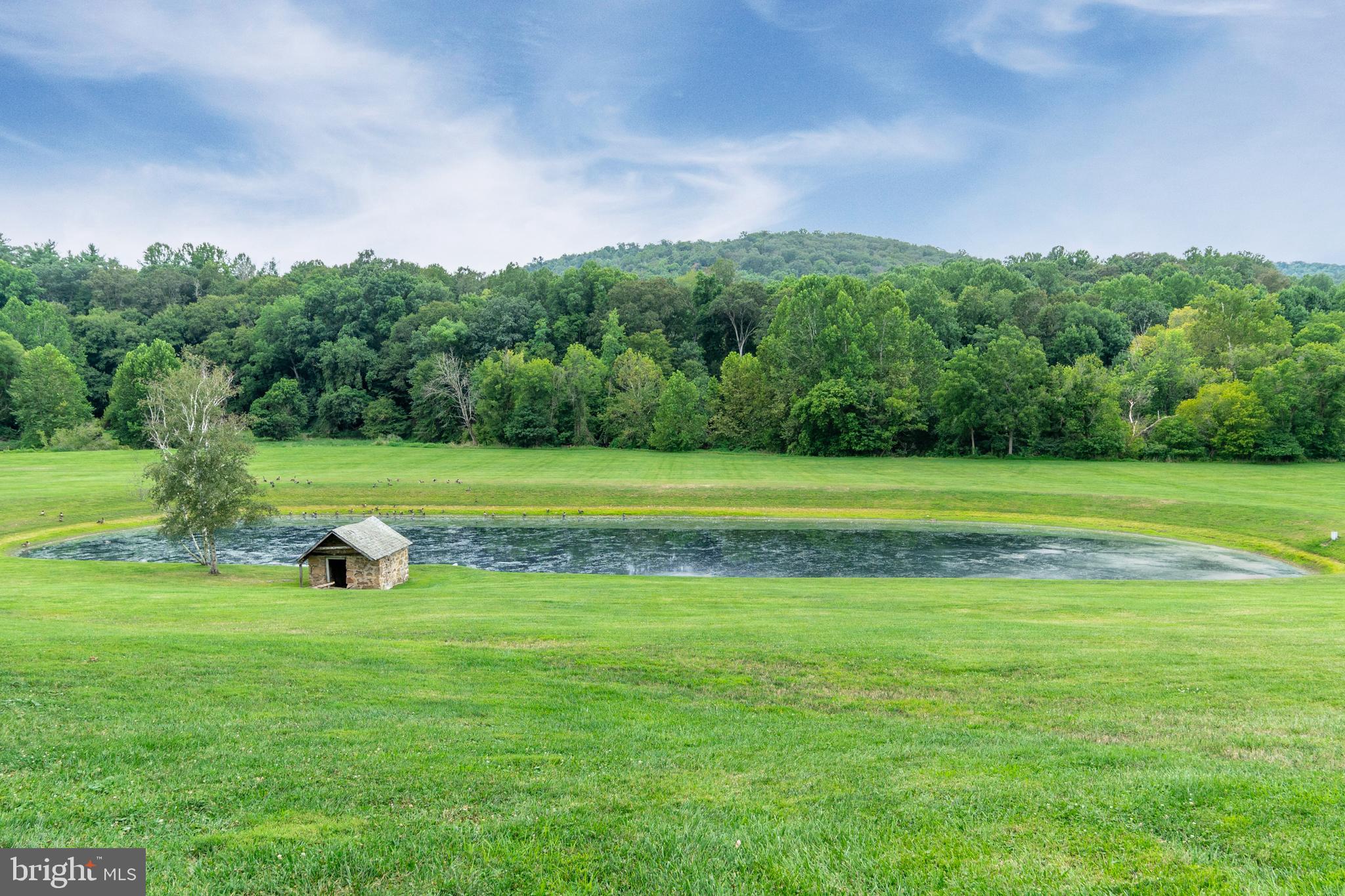 2220 Thurston Road Frederick, MD 21704 - Photo 5 of 139 1 Acre Pond