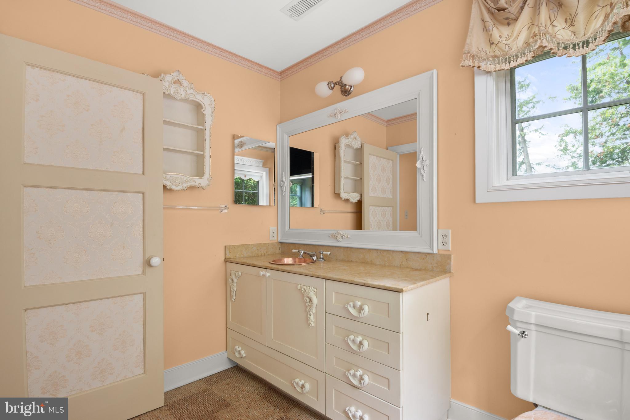 2220 Thurston Road Frederick, MD 21704 - Photo 65 of 139 Primary Bathroom