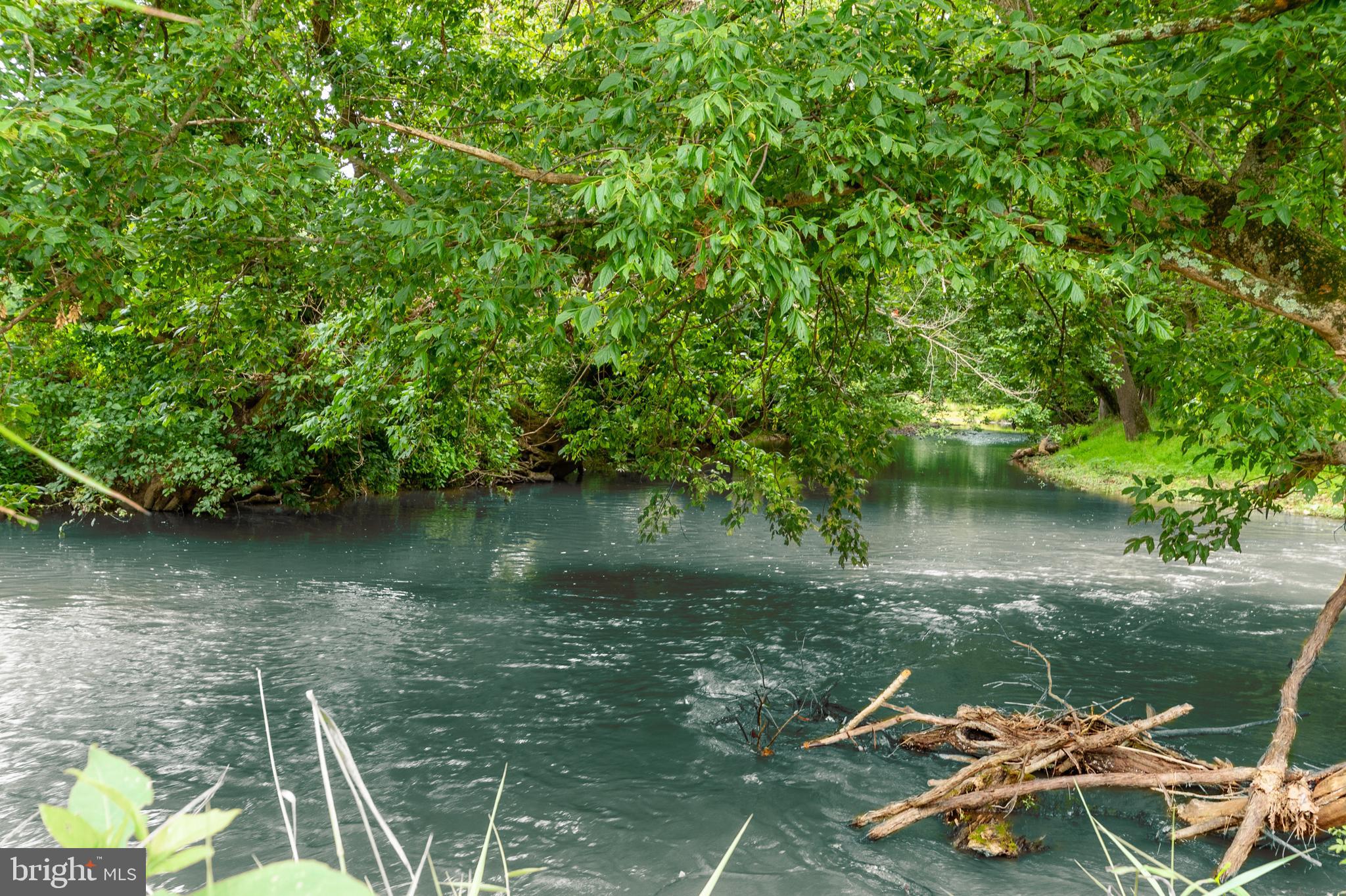 2220 Thurston Road Frederick, MD 21704 - Photo 9 of 139 Bennett Creek