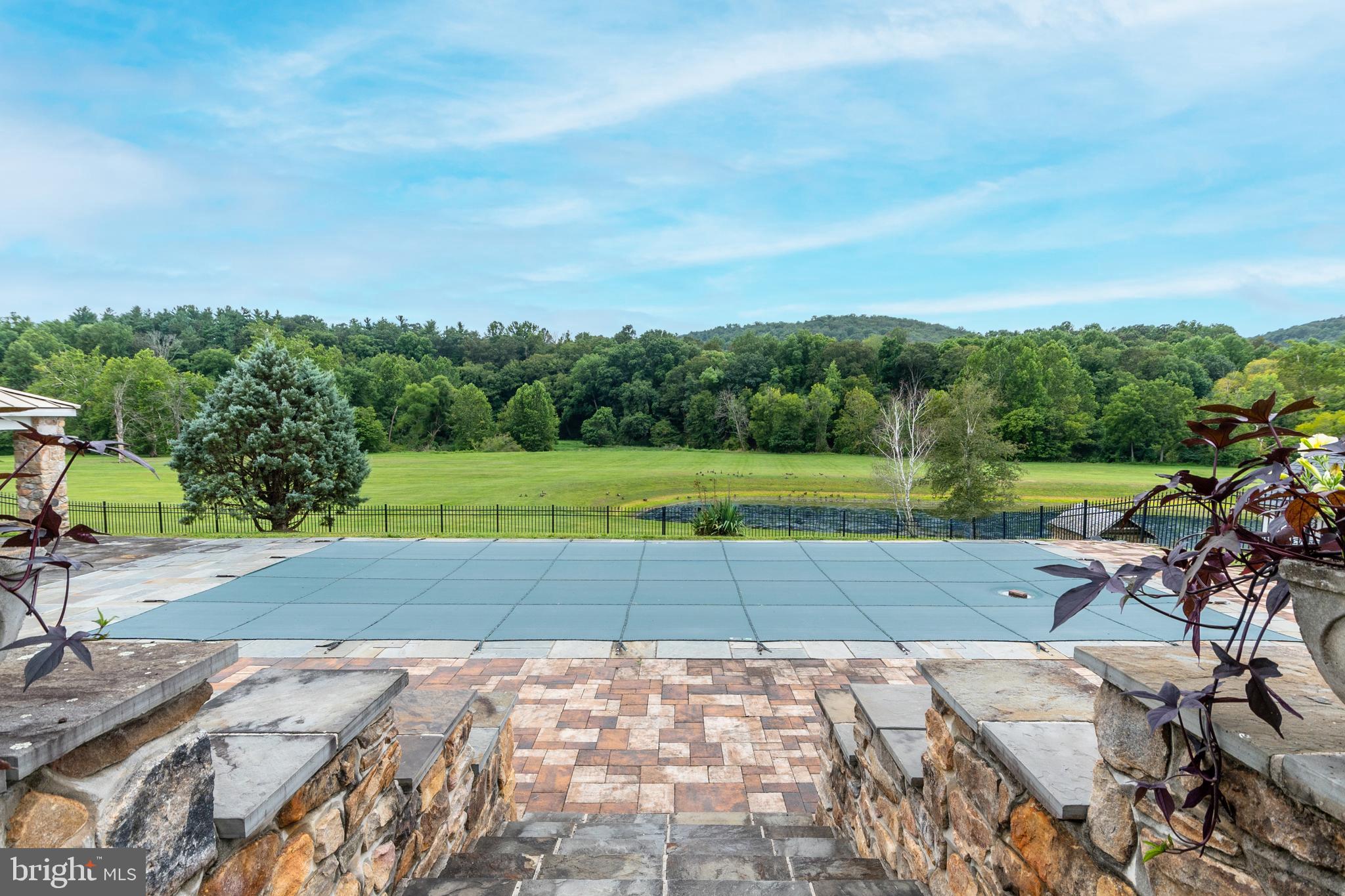 2220 Thurston Road Frederick, MD 21704 - Photo 85 of 139 Pool