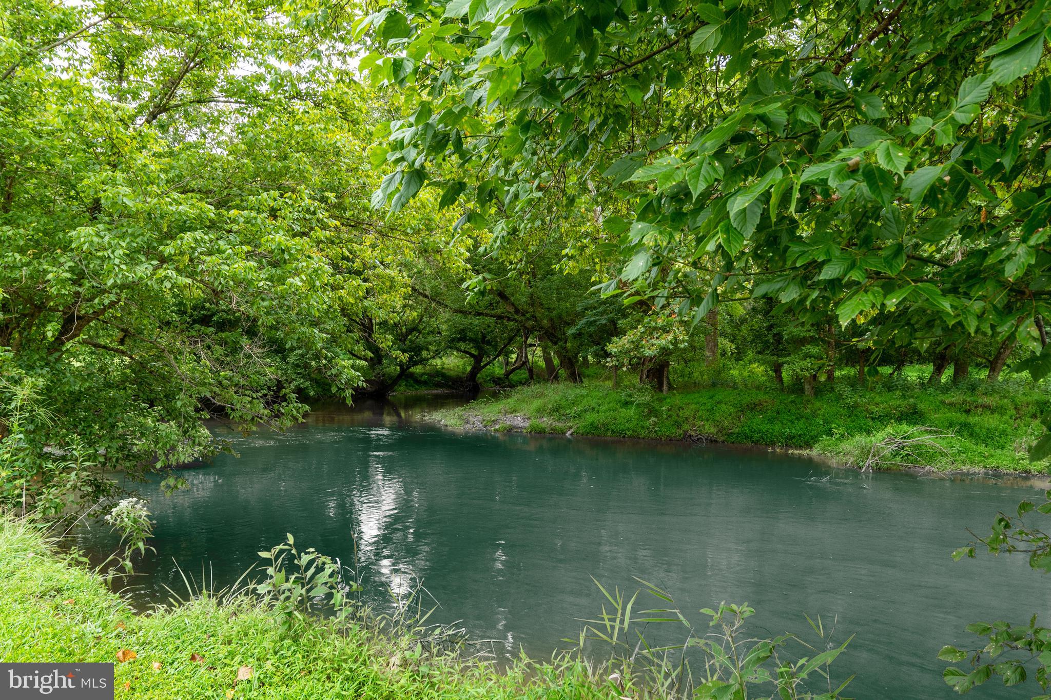 2220 Thurston Road Frederick, MD 21704 - Photo 89 of 139 Bennett Creek