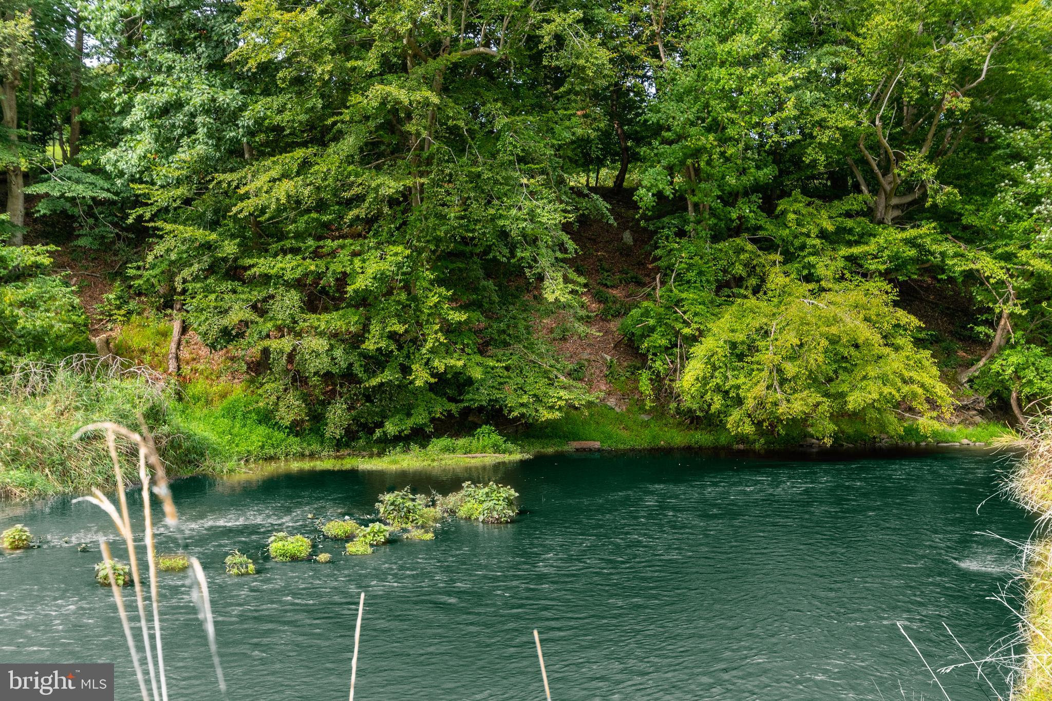 2220 Thurston Road Frederick, MD 21704 - Photo 93 of 139 Bennett Creek