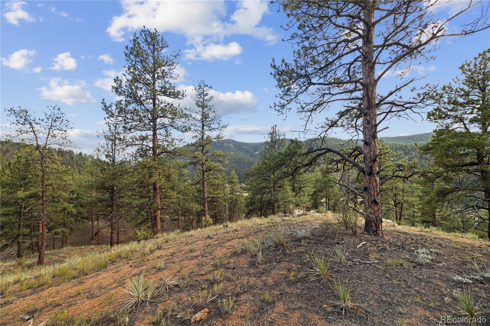 Brynmawr Rd Pine Pine, CO 80470 - Photo 33 of 45