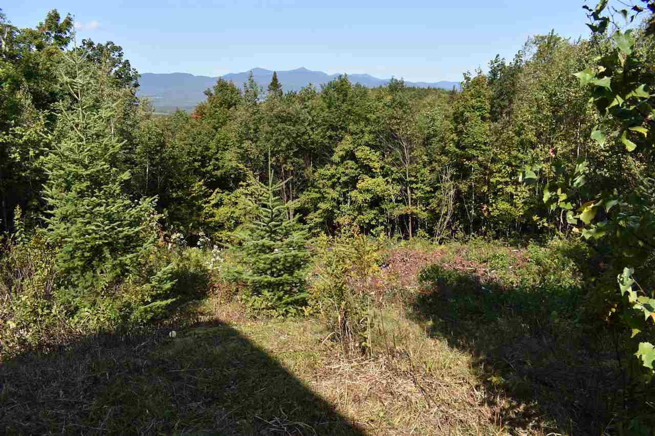 457 Driscoll Road Lowell, VT 05847 - Photo 6 of 27