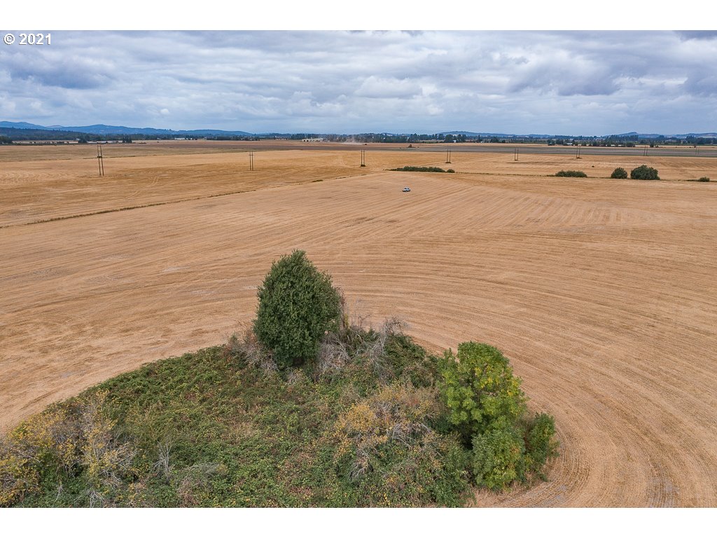 8575 Hoffman Road Independence, OR 97351 - Photo 8 of 23 Gallery Image 8