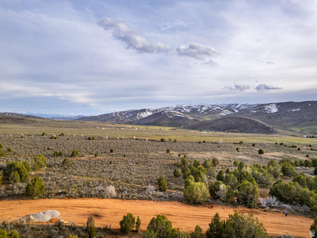 5206 Cougar Run, Unit 46 Fairview, UT 84629 - Photo 5 of 15