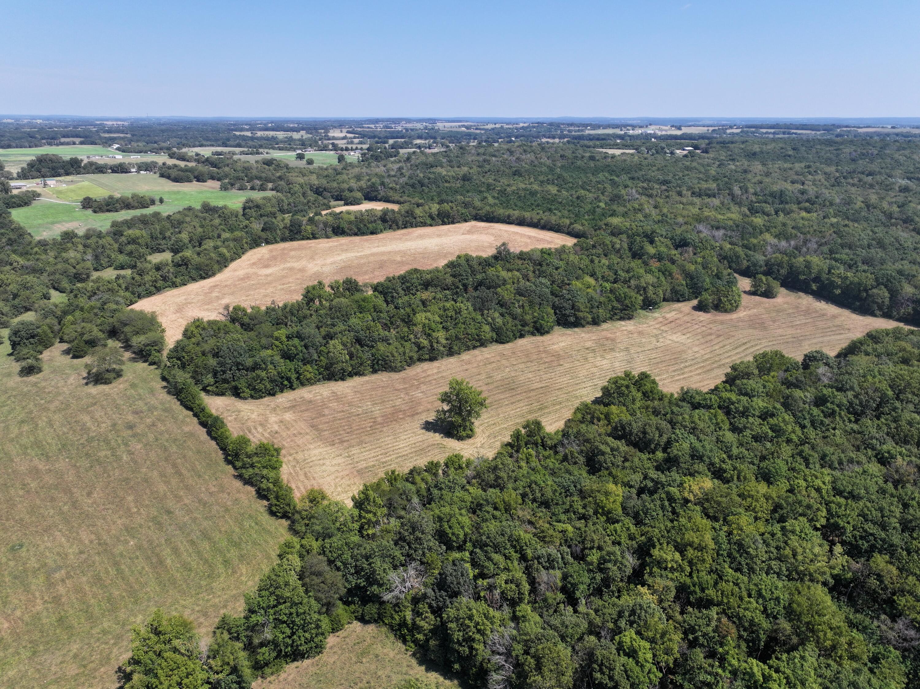 B South 140th Road Morrisville, MO 65710 - Photo 4 of 27 Morrisville 4