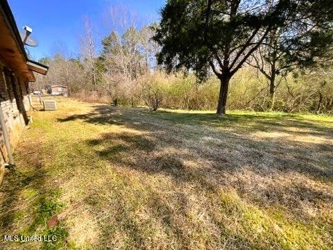 1671 St John Road Braxton, MS 39044 - Photo 10 of 11 1671 St John St (11)-2