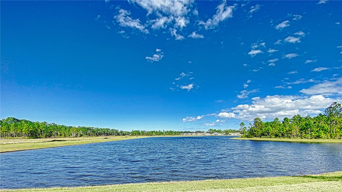 93015 Cope Court Fernandina Beach, FL 32034 - Photo 7 of 23 a view of outdoor space and yard