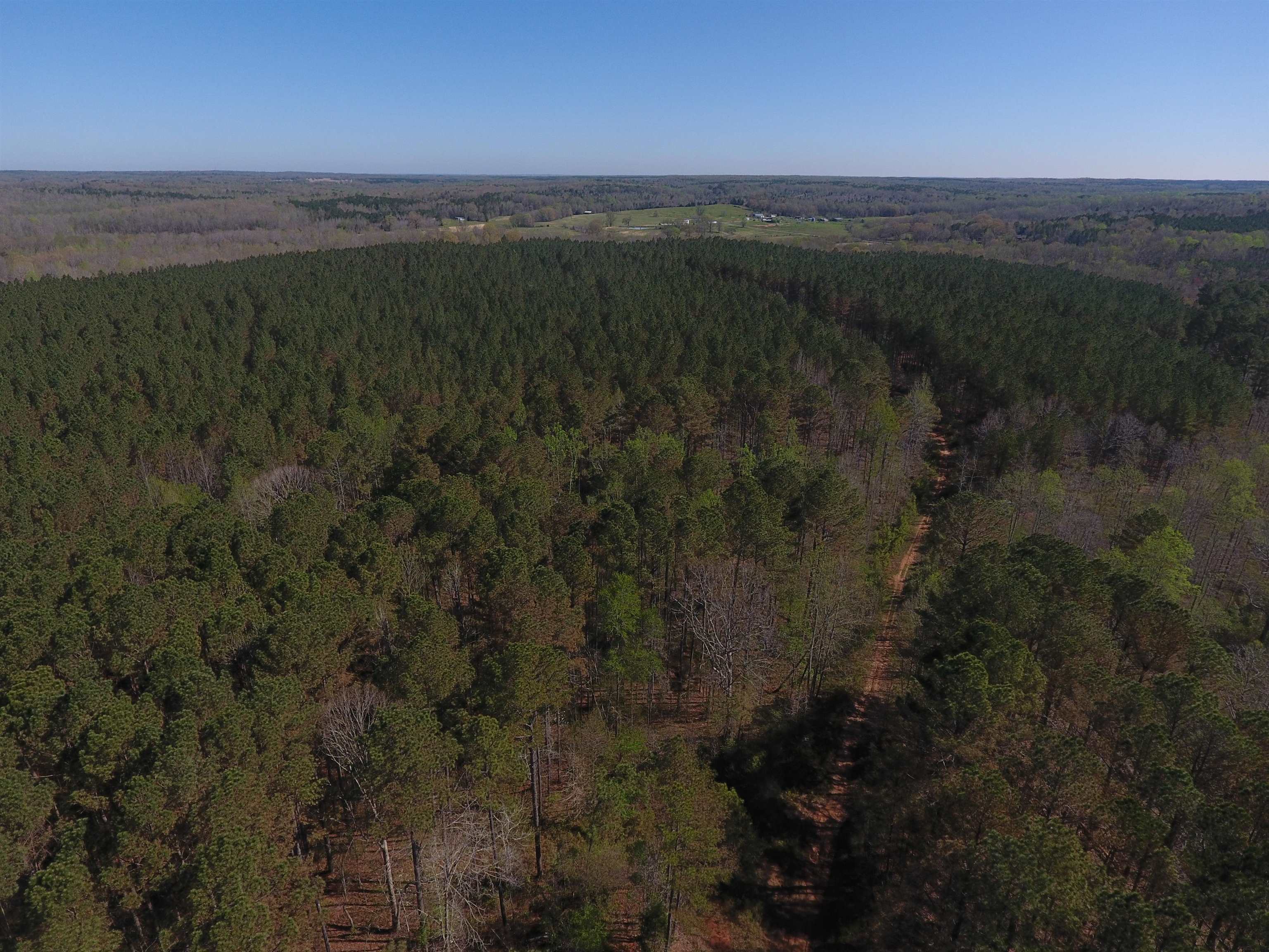 0 Dacus Road Medon, TN 38356 - Photo 2 of 23 a view of lake and mountain